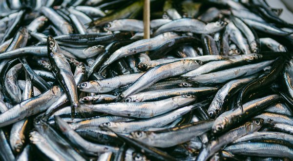 L'insomnie chez les personnes âgées : causes et traitements