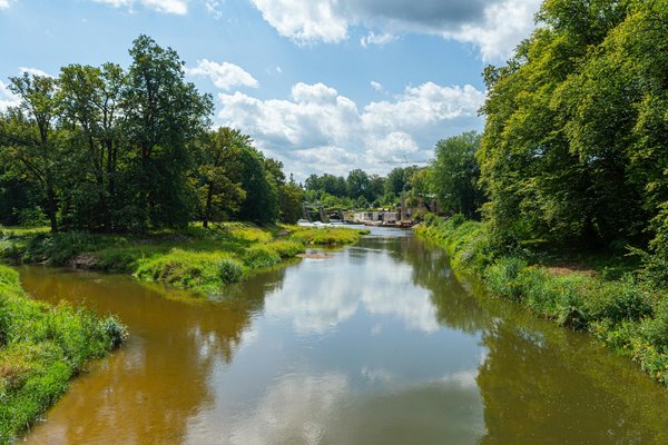 Explorez les merveilleux bienfaits du brocoli pour équilibrer naturellement votre santé hormonale